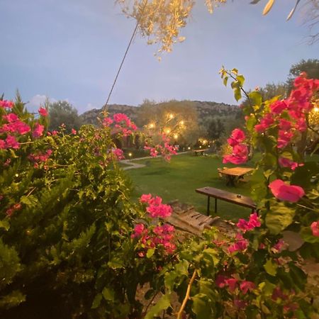 Suzi'Nin Bahcesi Bungalov Evler Датча Экстерьер фото