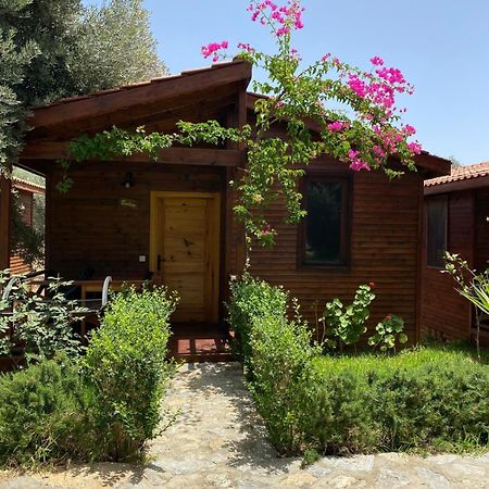 Suzi'Nin Bahcesi Bungalov Evler Датча Экстерьер фото
