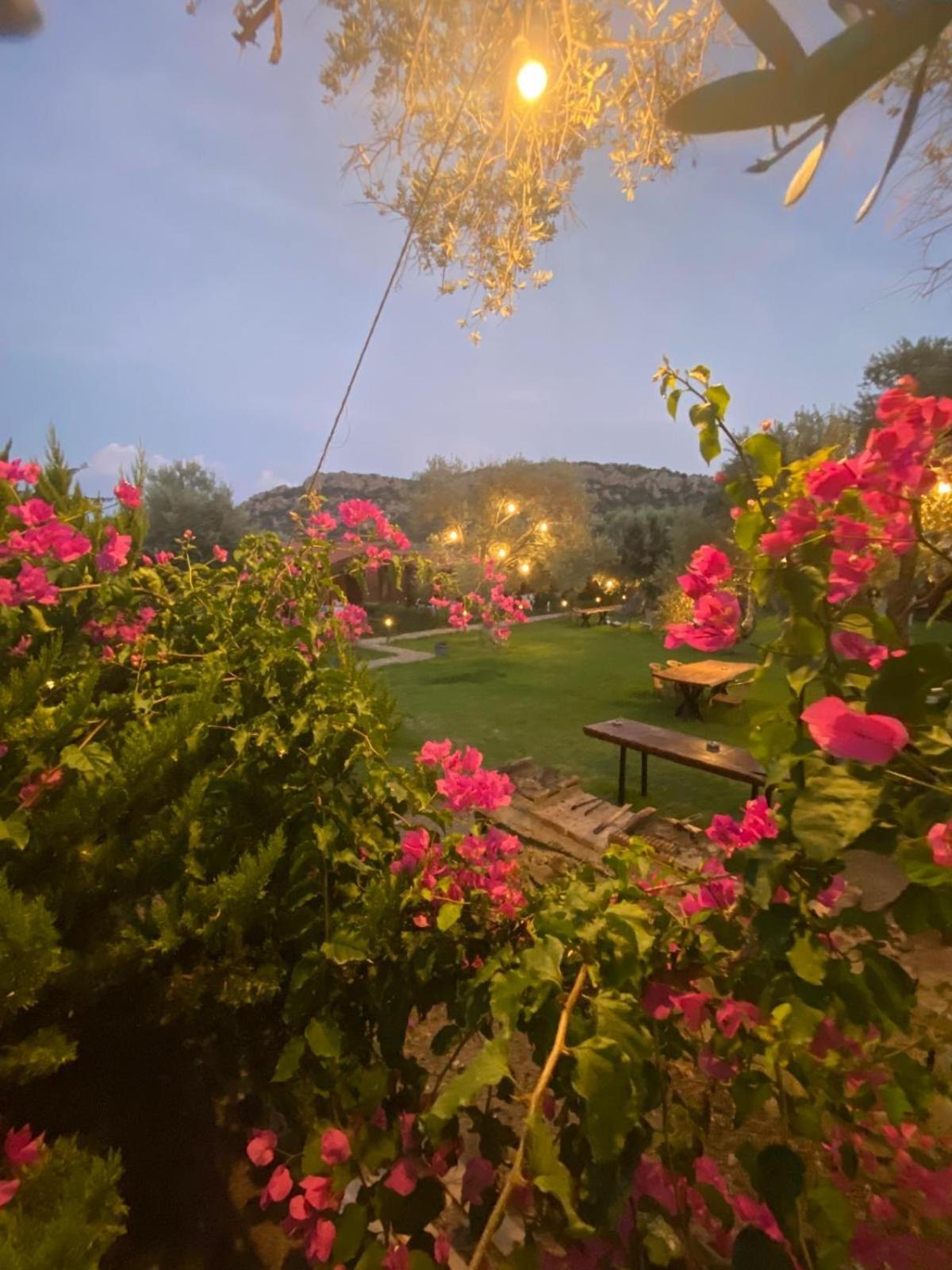 Suzi'Nin Bahcesi Bungalov Evler Датча Экстерьер фото