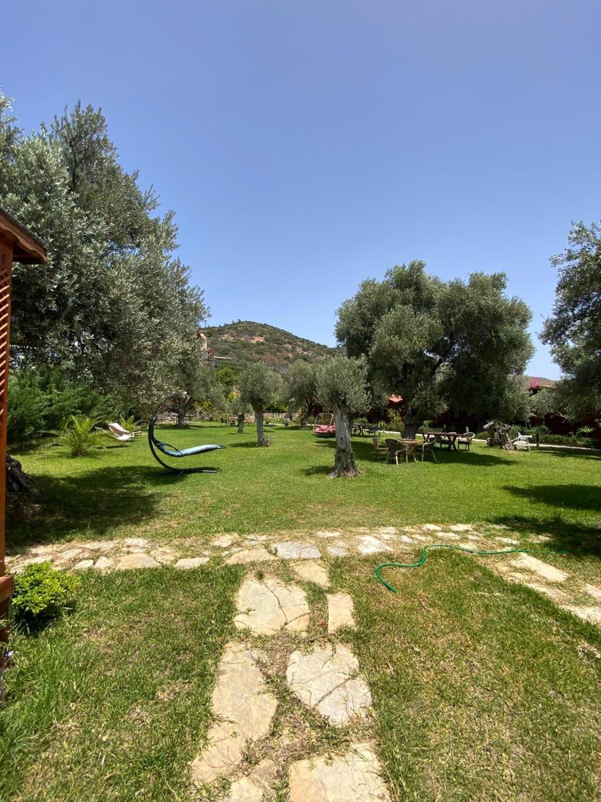 Suzi'Nin Bahcesi Bungalov Evler Датча Экстерьер фото