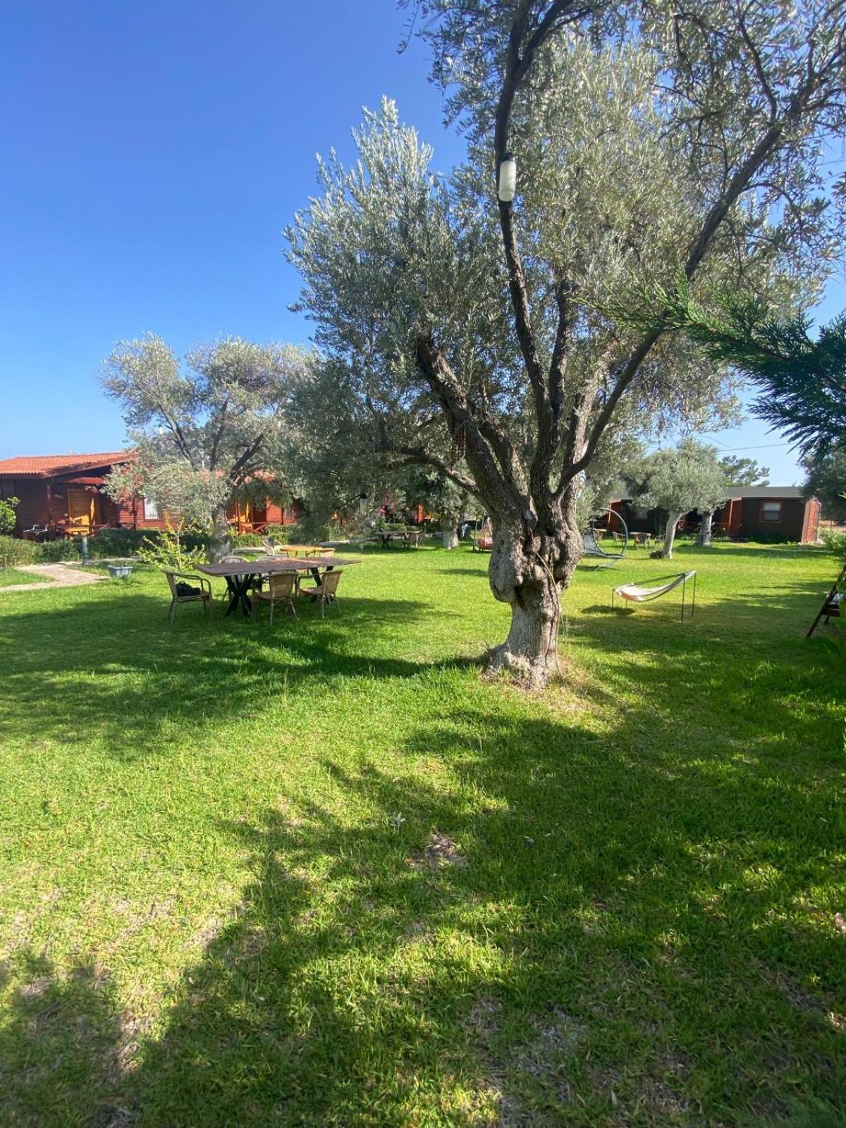 Suzi'Nin Bahcesi Bungalov Evler Датча Экстерьер фото