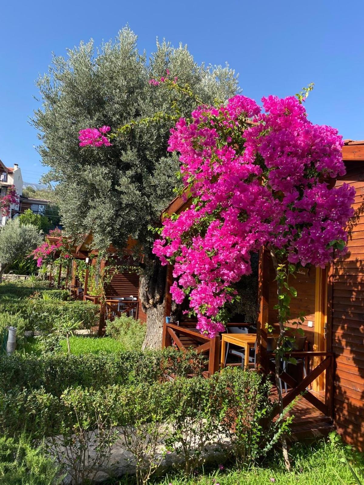 Suzi'Nin Bahcesi Bungalov Evler Датча Экстерьер фото